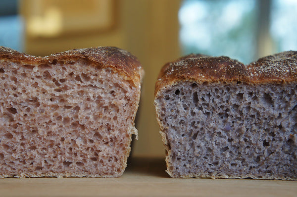 Potato Bread