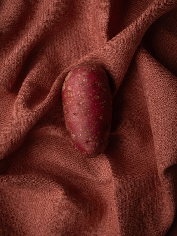 Heide Red