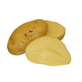 Arja