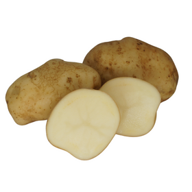 Irish Favourites