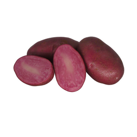 Heide Red