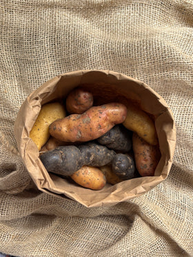 Fingerling Trio