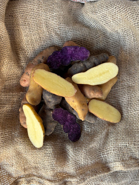Fingerling Trio