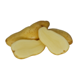 Fingerling Trio