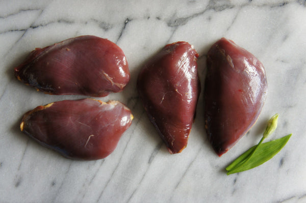 Pigeon Breasts x 4