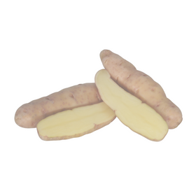 Pink Fir Apple