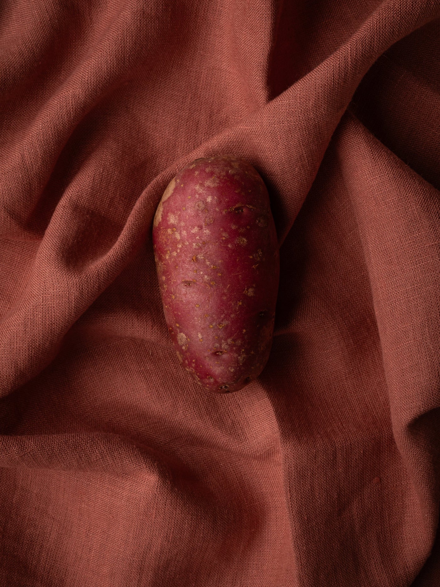 Heide Red