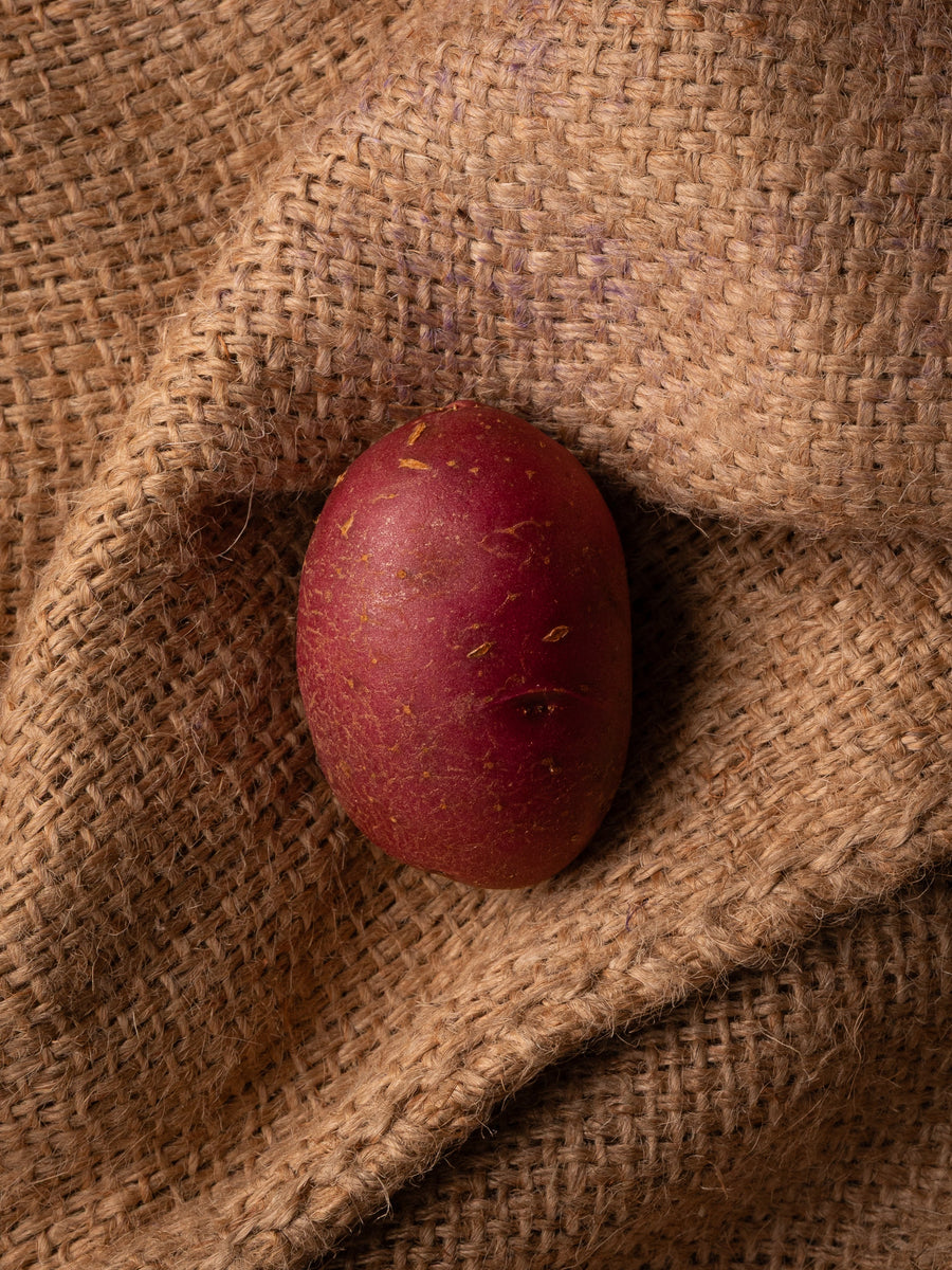 Heide Red