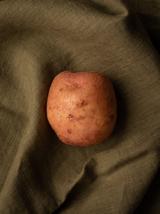 Kerr's Pink