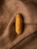 La Ratte