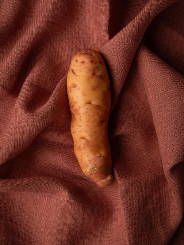 Pink Fir Apple