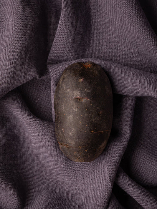 Vitanoire