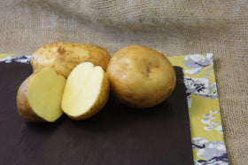 Yukon Gold