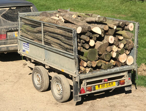 General Firewood up to 8' long