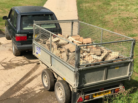 Chestnut 10" Logs