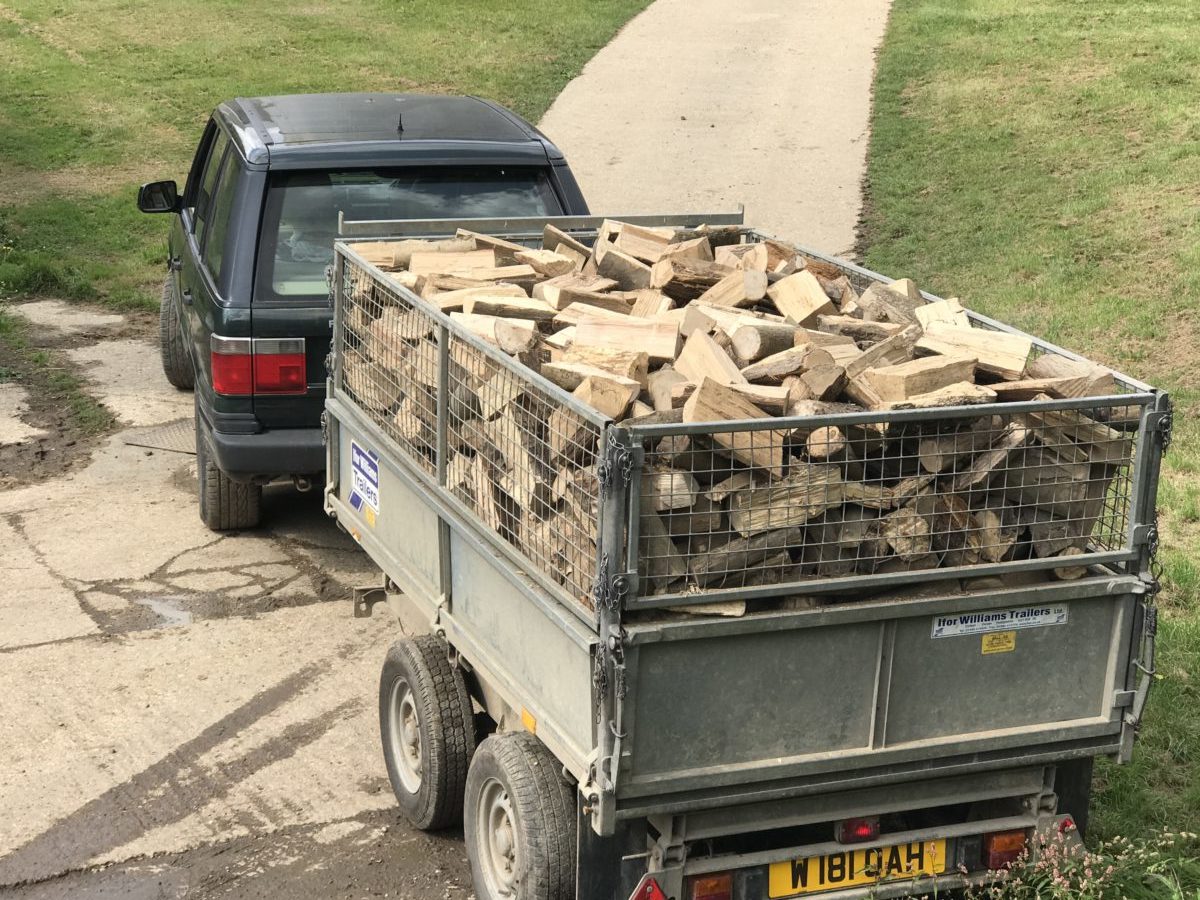Firewood Logs