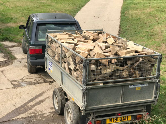Chestnut 10" Logs