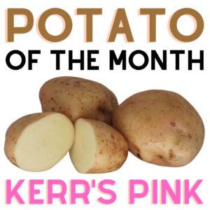 Potato of the Month Kerr's Pink 2022 The Potato Shop