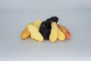 Fingerling Trio - La Ratte, Pink Fir Apple, Vitelotte - 2020 The Potato Shop