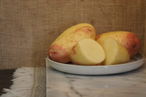 King Edward Potatoes Harvest 2019