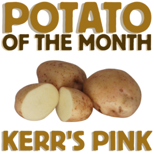 Potato of the Month Kerr's Pink February 2023 The Potato Shop