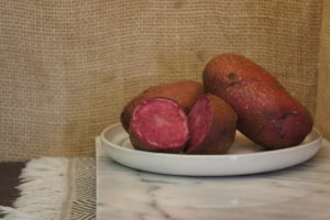 Highland Burgundy Red Potatoes Harvest 2019