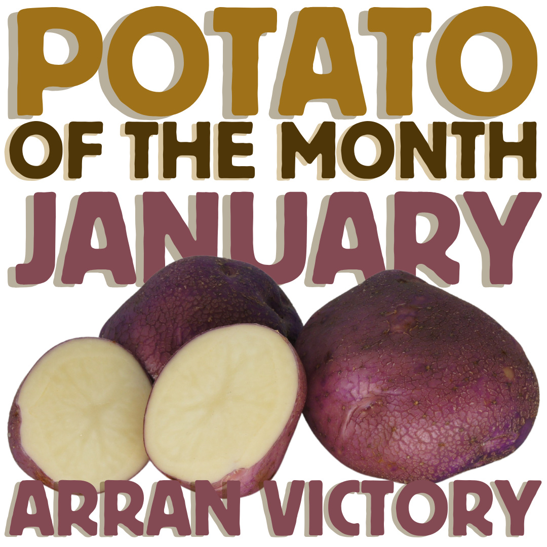 Potato of the Month Square January Arran Victory 24_25 The Potato Shop