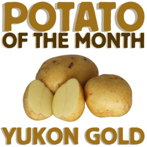 Potato of the Month Yukon Gold August 2023 The Potato Shop