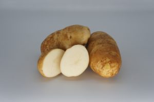 Russet Burbank 2020 The Potato Shop