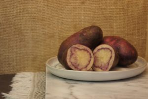 Shetland Black Potatoes Harvest 2019