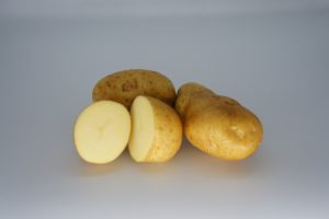 Wilja 2020 The Potato Shop