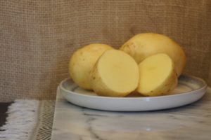 Yukon Gold Potatoes Harvest 2019