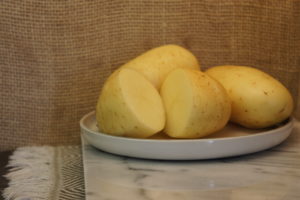 Estima potatoes Harvest 2019