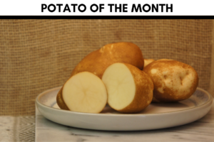 Potato of the Month December 2019 - Golden Wonder