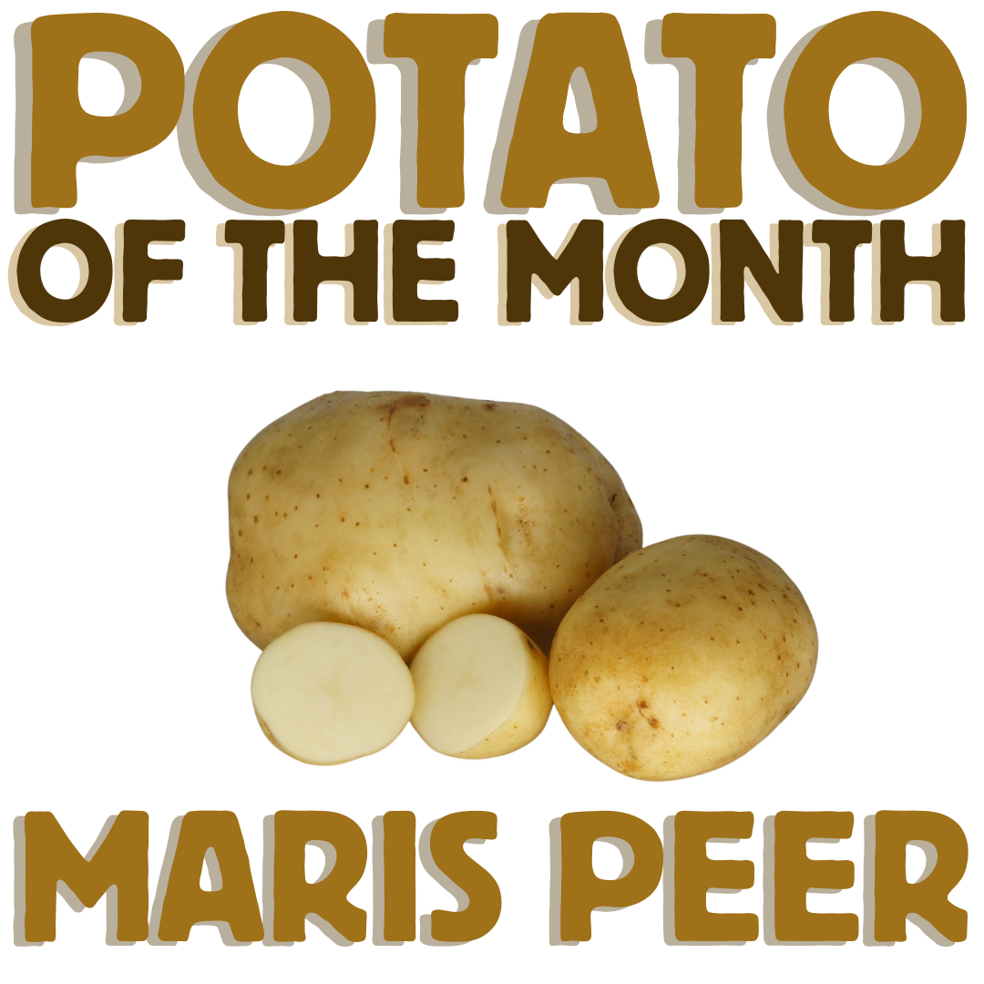 Potato of the Month Maris Peer November 2022 The Potato Shop