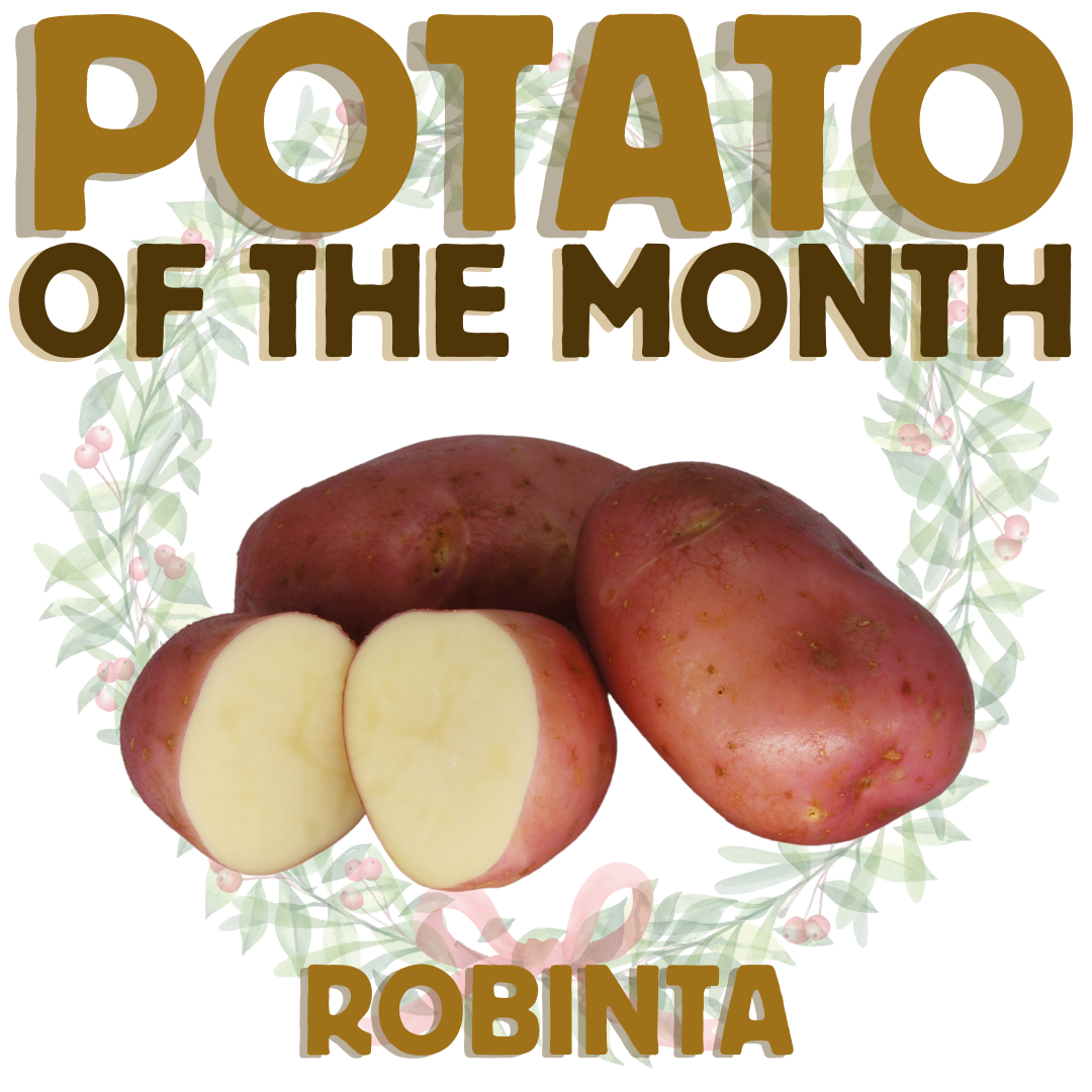 Potato of the Month Robinta December 2022 The Potato Shop