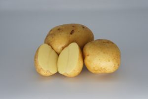 Yukon Gold 2020 The Potato Shop