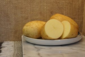 Wilja Potatoes Harvest 2019