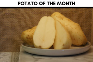 Potato of the Month November 2019 - Russet Burbank