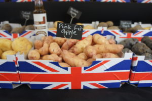 Pink Fir Apple Potatoes