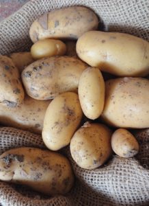 New Season Charlotte potatoes