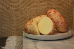 Mary's Rose Potatoes Harvest 2019