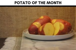 Potato of the Month: Mayan Rose