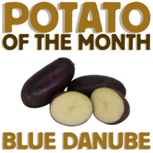 Potato of the Month Blue Danube January 2023 The Potato Shop