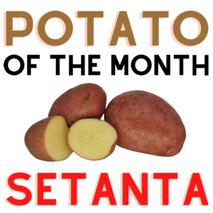Potato of the Month Setanta April 2022 The Potato Shop